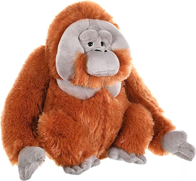 Wild Republic Male Orangutan Plush Soft Toy, Cuddlekins Cuddly Toys, Gifts for Kids 30 cm,Brown, Polyester